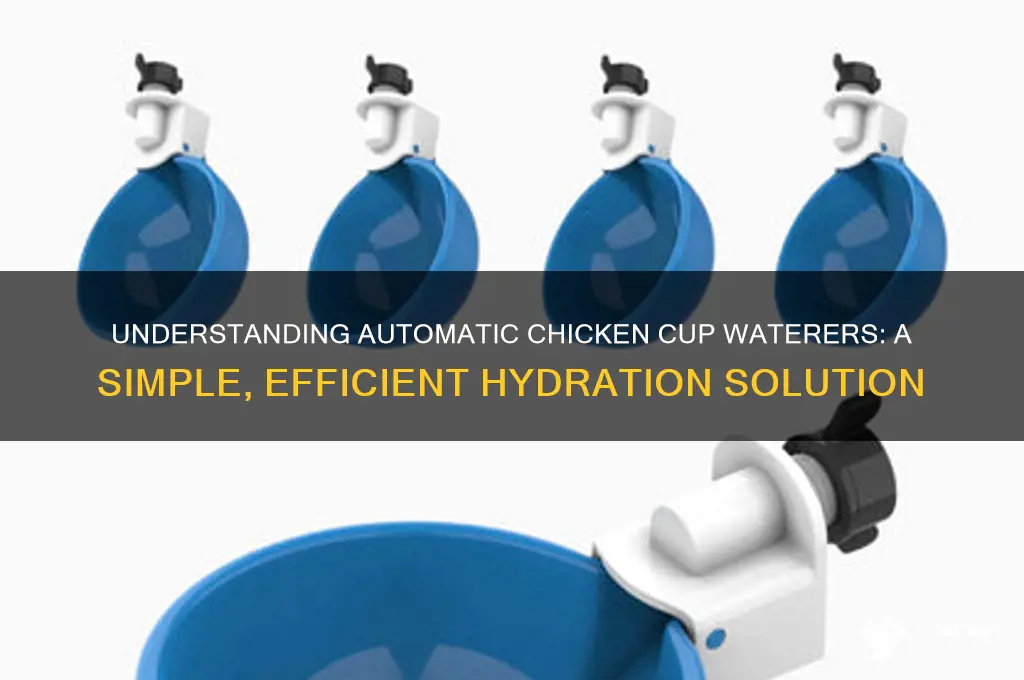 how do automatic chicken cup waterers work