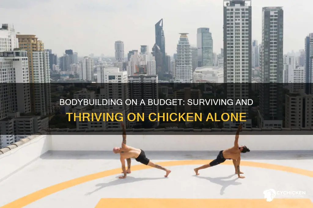 how do bodybuilders survive on only chicken