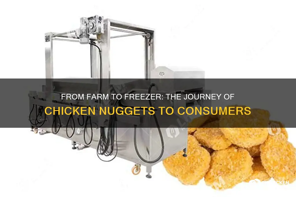how do chicken nuggets reach the consumer