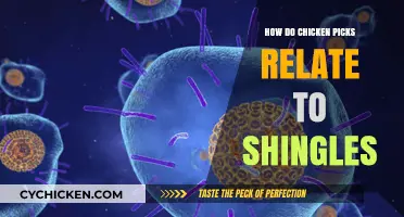 Chickenpox and Shingles Connection: Understanding the Viral Link and Risks