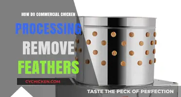 Efficient Feather Removal in Commercial Chicken Processing Explained