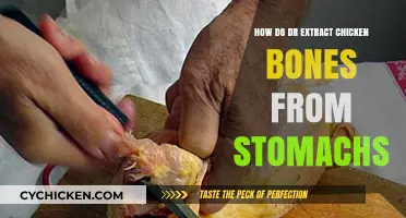 Emergency Care: How Doctors Safely Remove Chicken Bones from Stomachs
