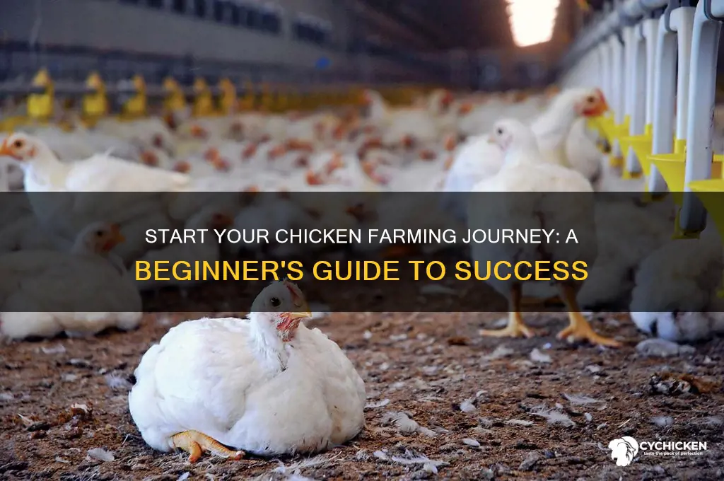 how do i become a chicken farmer
