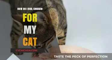 Purr-fectly Safe: Boiling Chicken for Your Feline Friend at Home