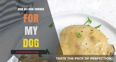 Boiling Chicken for Dogs: A Simple, Healthy Homemade Treat Guide