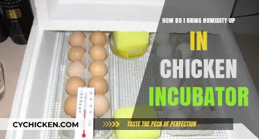 The Chicken Incubator: Increasing Humidity for Optimal Hatching