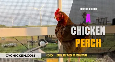 DIY Chicken Perch: Simple Steps for Happy, Healthy Hens