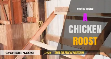 Building the Perfect Chicken Roost: A Step-by-Step DIY Guide