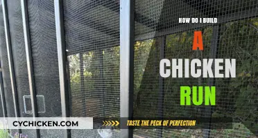 Building a Chicken Run: Essential Tips for a Safe Coop Extension