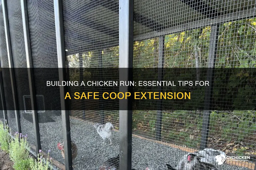 Building A Chicken Run: Essential Tips For A Safe Coop Extension ...