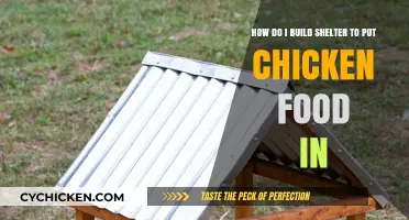 Building a Chicken Feed Shelter: DIY Guide
