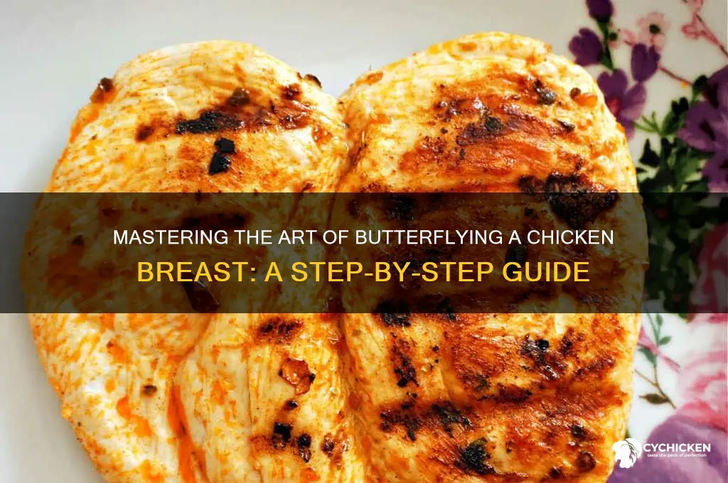 how do i butterfly a chicken breasst