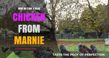 Buying a Blue Chicken from Marnie: A Step-by-Step Guide