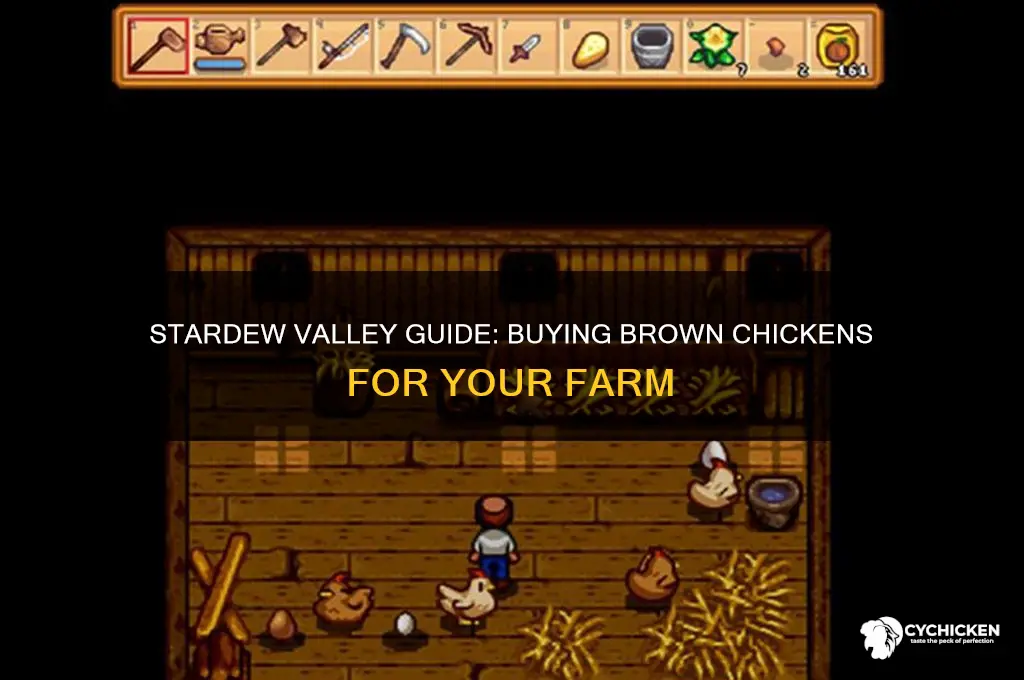 how do i buy brown chicken stardew