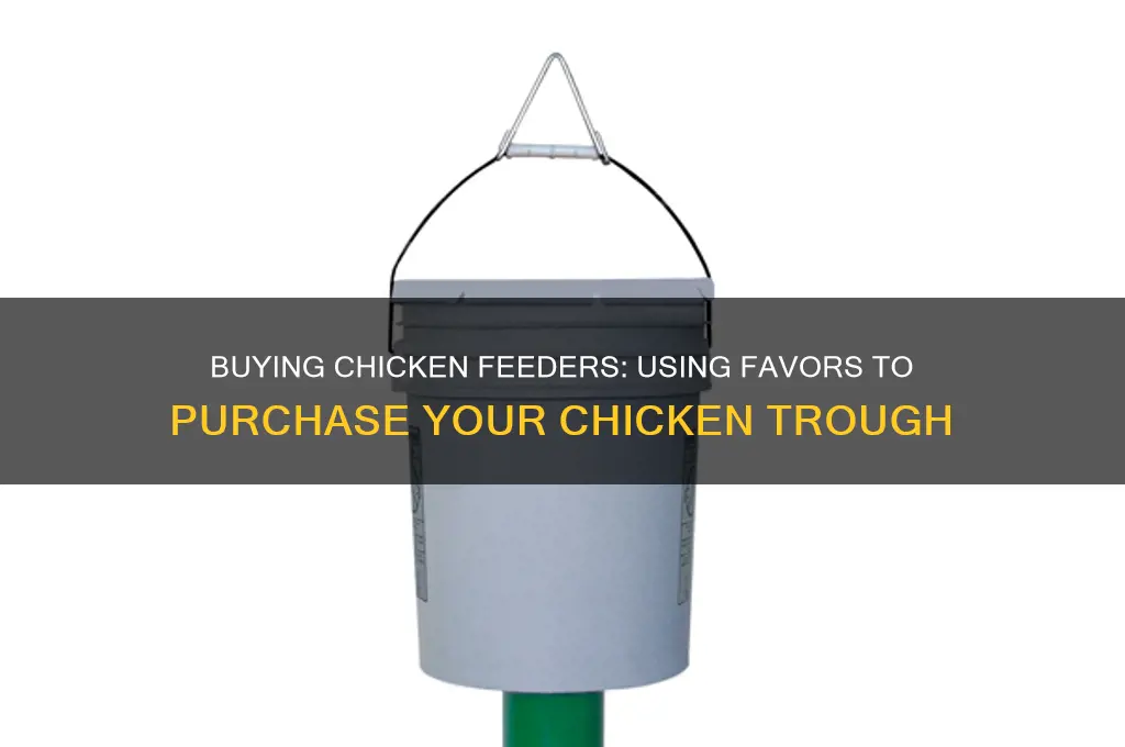 how do i buy my chicken trough with favors