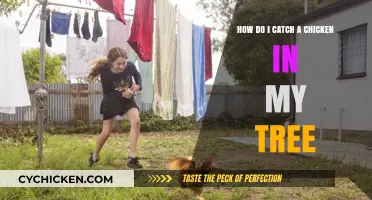 Catching Chickens in Trees: Strategies for Success