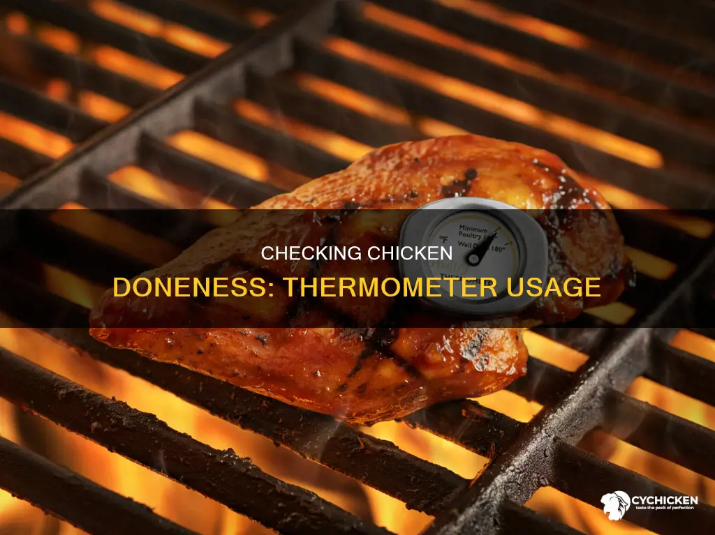 how do i check if chicken is done with thermometer