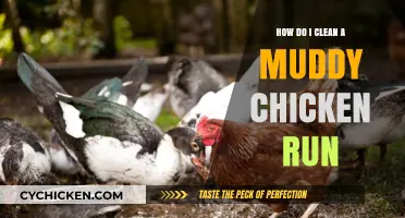 Effective Tips for Cleaning a Muddy Chicken Run Easily