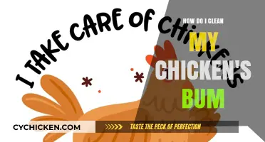 Keeping Your Chickens Clean: A Guide to Bum Care