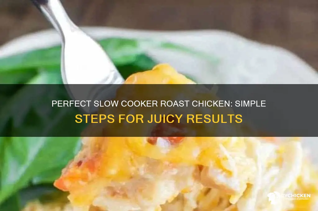how do i cook a roast chicken in slow cooker