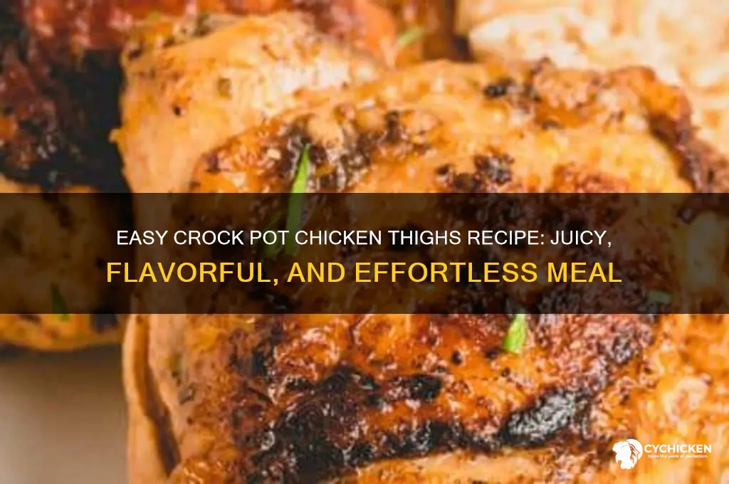 how do i crock pot chicken thighs