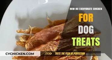Easy DIY Dehydrated Chicken Treats for Your Dog: A Step-by-Step Guide