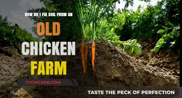 Revitalizing Soil: Healing Chicken Farm Land