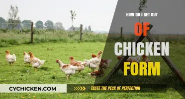 Breaking Free: A Guide to Overcoming Chicken Form