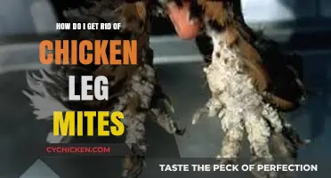 Effective Ways to Eliminate Chicken Leg Mites Naturally