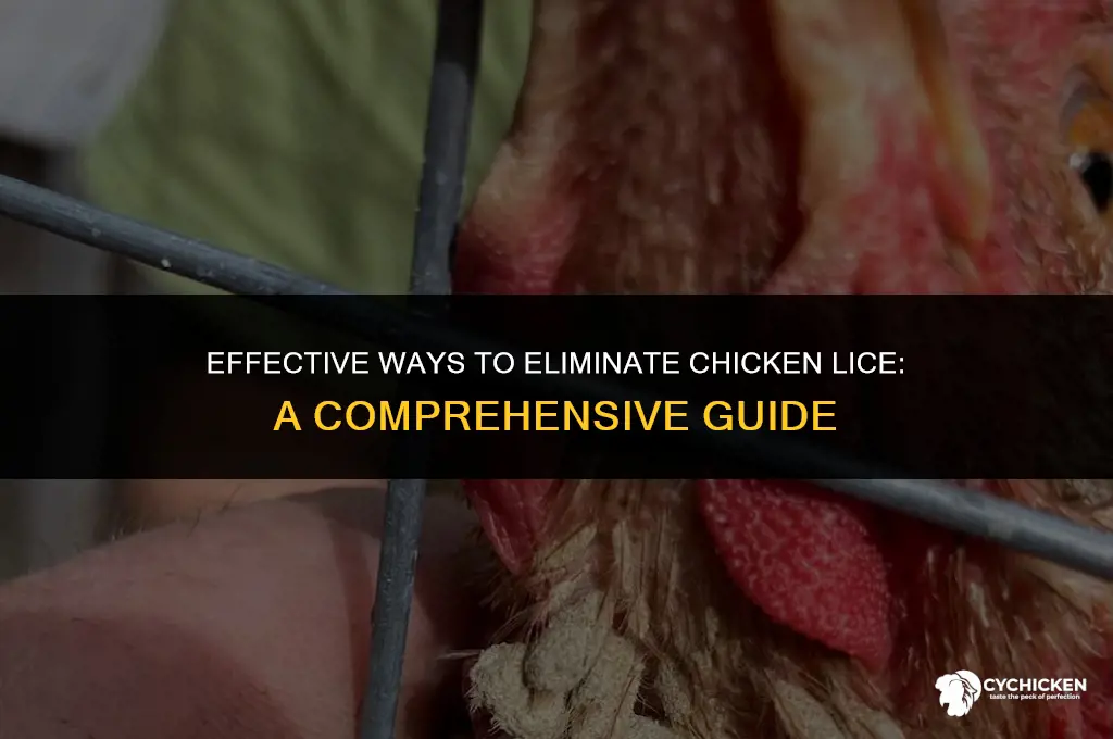 how do i get rid of chicken lice