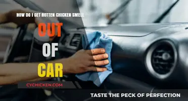 Eliminating Persistent Rotten Chicken Odor from Your Car Interior