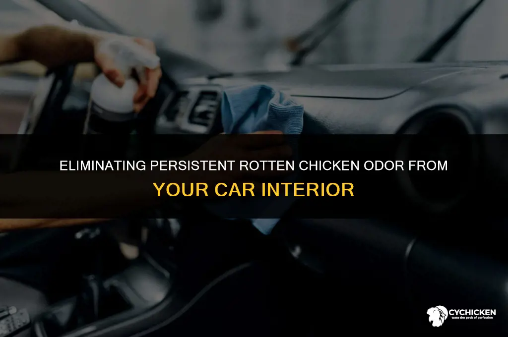 how do i get rotten chicken smell out of car