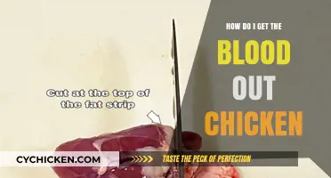 Effective Tips for Removing Blood Stains from Chicken