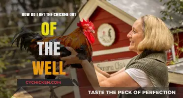 Rescuing Your Feathered Friend: A Guide to Chicken Well Escapes