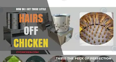 Easily Remove Pesky Feathers from Chicken: A Simple Guide