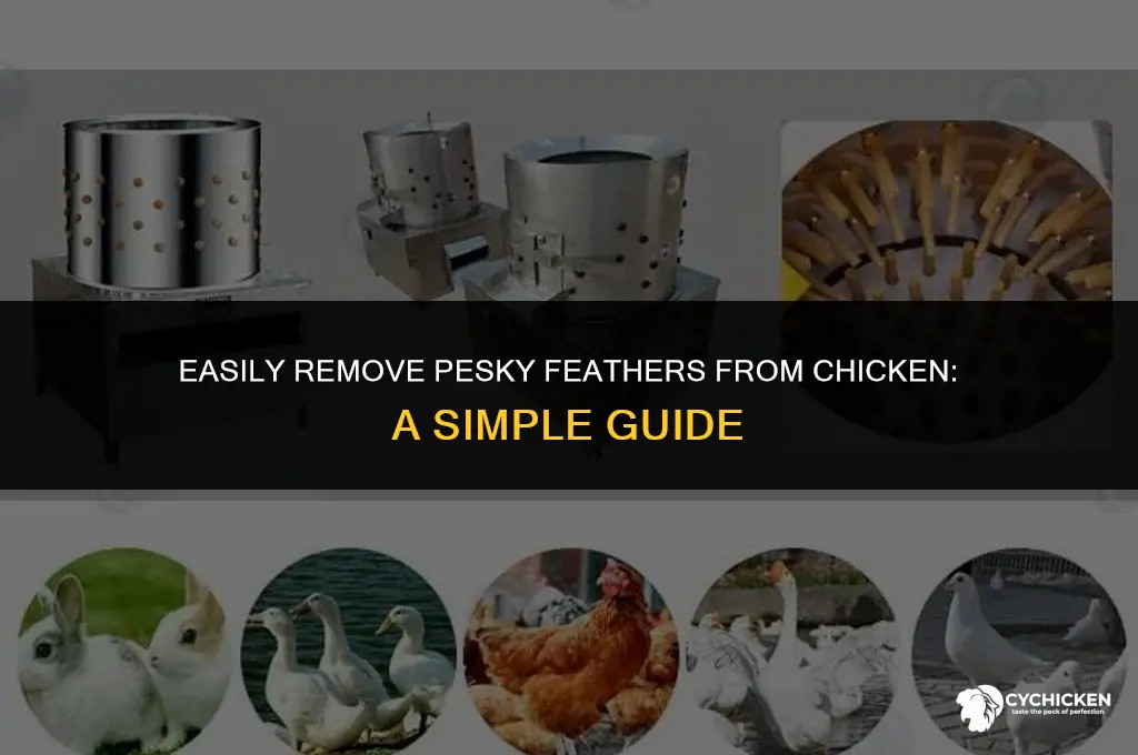 how do i get those little hairs off chicken