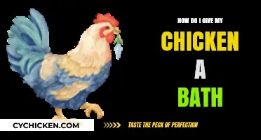Easy Steps to Safely Bathe Your Chicken at Home