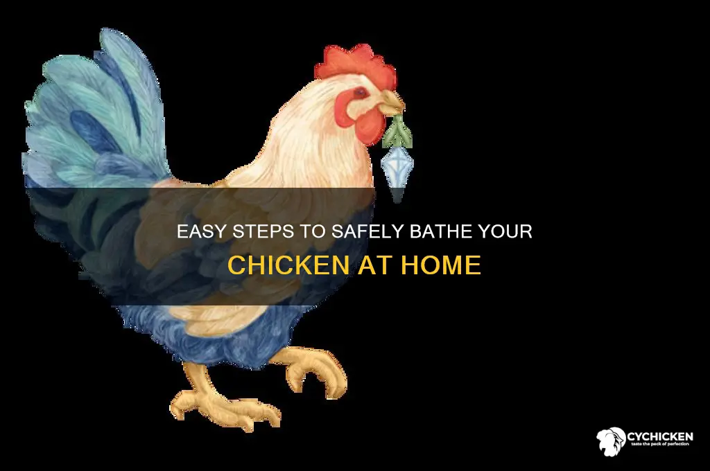 how do i give my chicken a bath