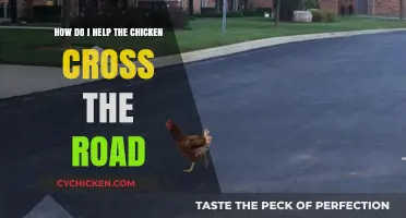 Helping Chickens Cross Roads Safely: A Guide