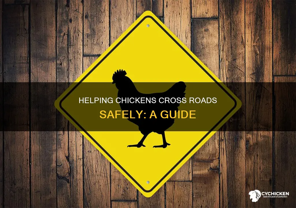 how do i help the chicken cross the road
