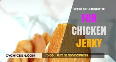 Dehydrator Chicken Jerky: A Step-by-Step Guide
