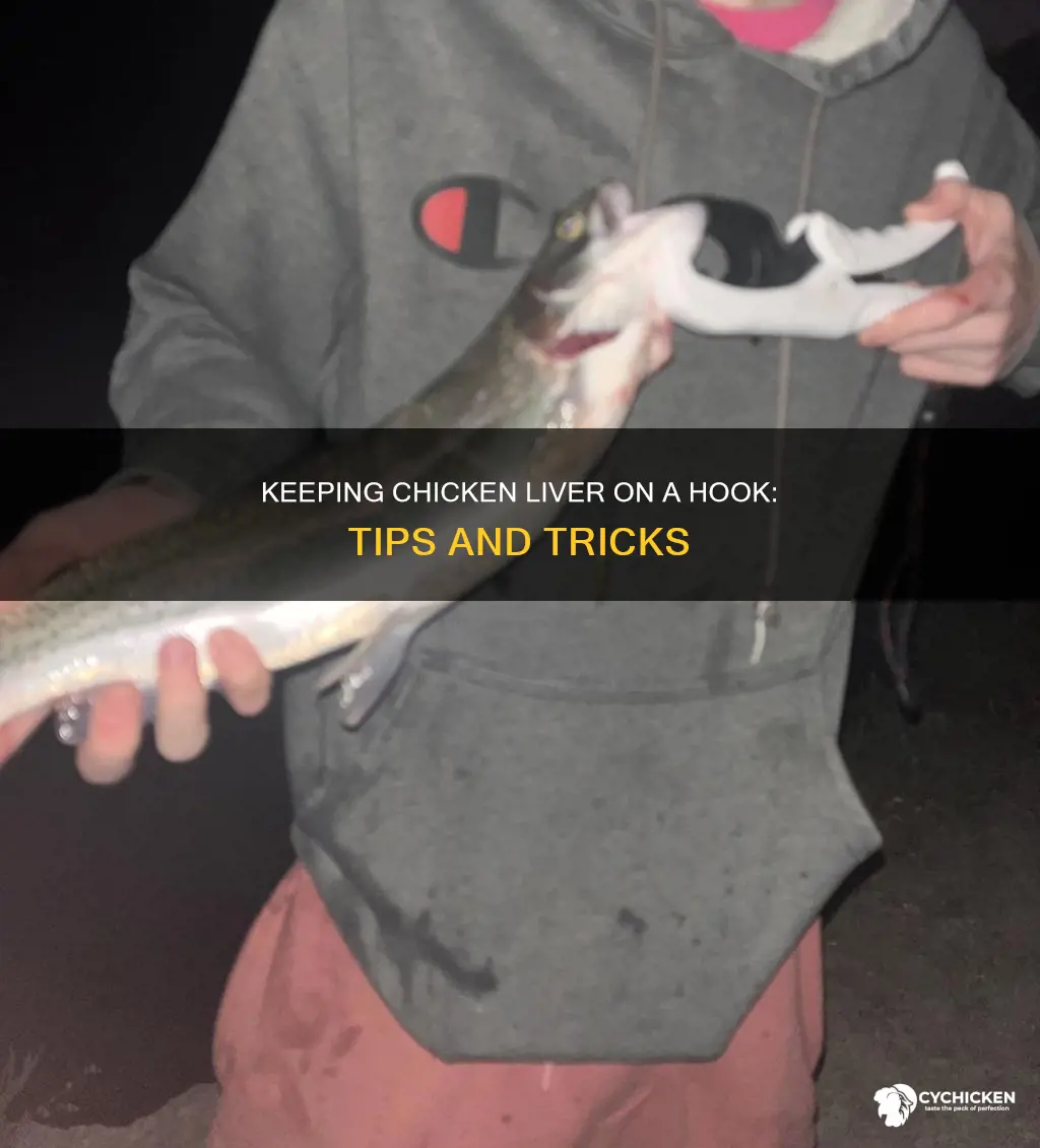 how do i keep chicken liver on a hook