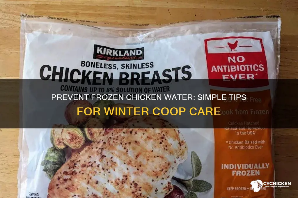 how do i keep chicken water from freezing