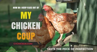Protecting Your Chicken Coop: Keep Flies Away