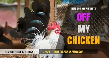 Effective Ways to Protect Your Chickens from Pesky Insects