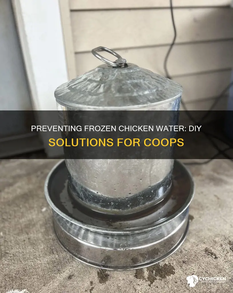 how do i keep my chicken water from freezing