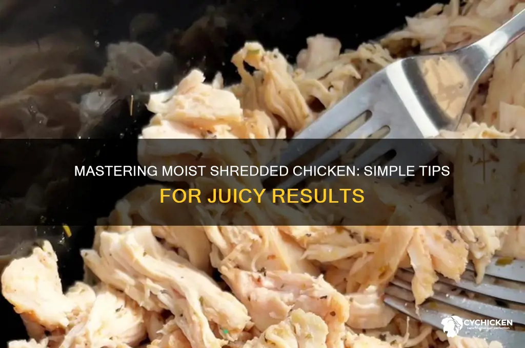 how do i keep shredded chicken moist