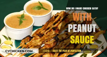 Easy Chicken Satay Recipe with Homemade Peanut Sauce Guide