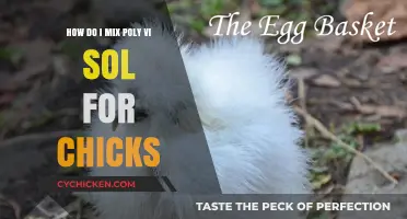 Mixing Poly Vi Sol for Chicks: A Step-by-Step Guide