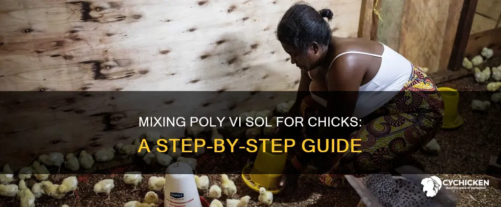 how do i mix poly vi sol for chicks